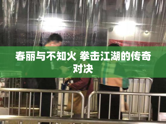 春丽与不知火 拳击江湖的传奇对决
