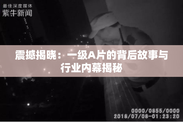 震撼揭晓：一级A片的背后故事与行业内幕揭秘