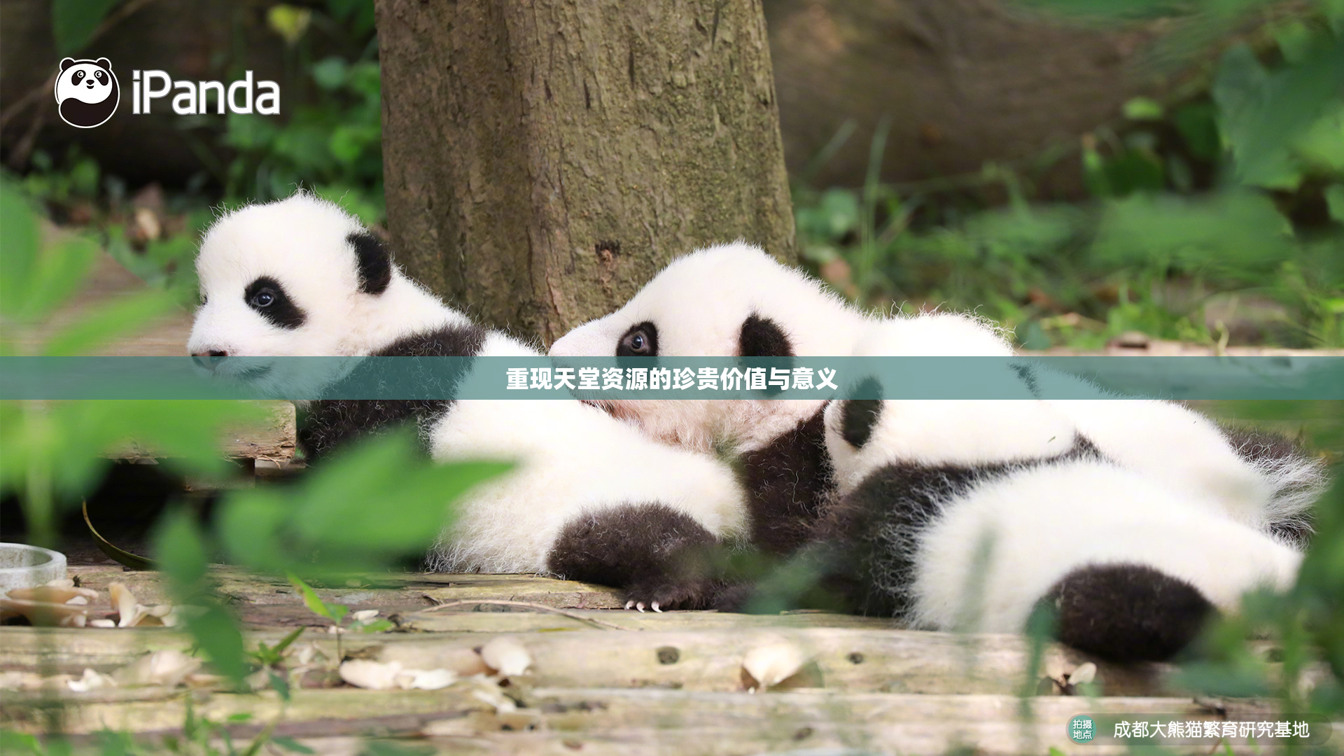 重现天堂资源的珍贵价值与意义