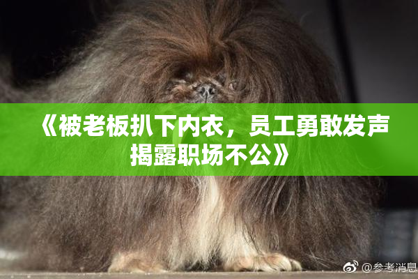 《被老板扒下内衣，员工勇敢发声揭露职场不公》