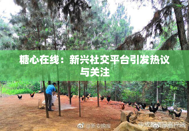 糖心在线：新兴社交平台引发热议与关注