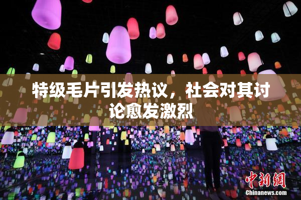 特级毛片引发热议，社会对其讨论愈发激烈