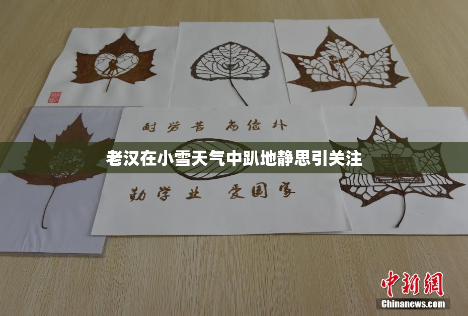 老汉在小雪天气中趴地静思引关注