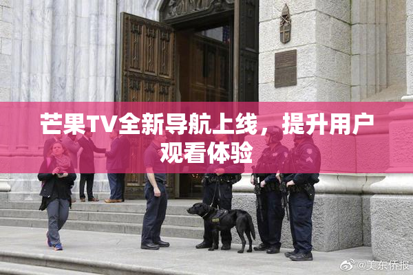 芒果TV全新导航上线，提升用户观看体验