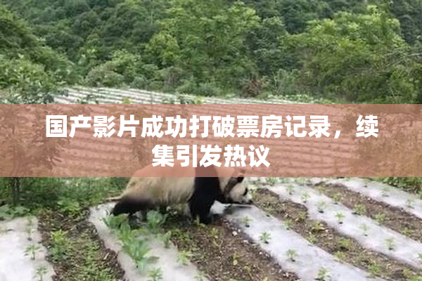 国产影片成功打破票房记录，续集引发热议