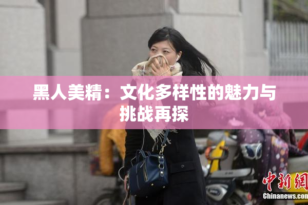 黑人美精：文化多样性的魅力与挑战再探