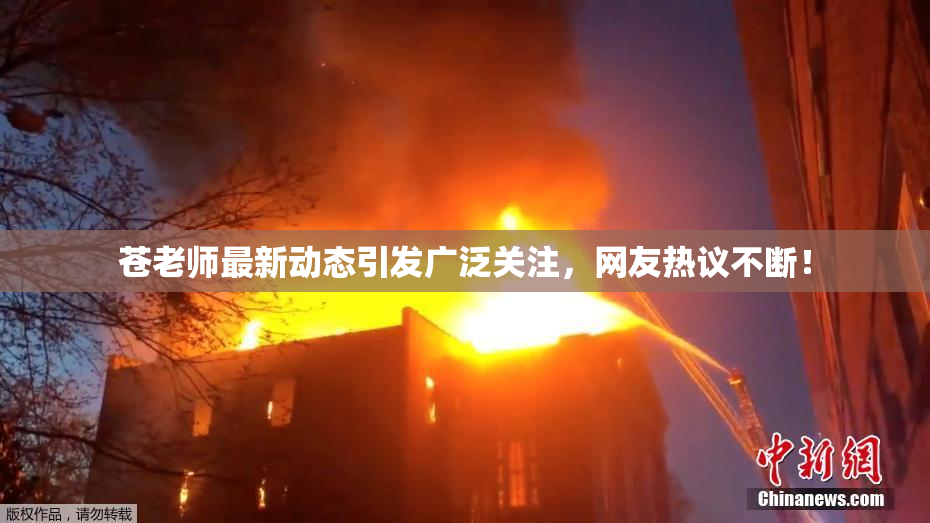 苍老师最新动态引发广泛关注，网友热议不断！