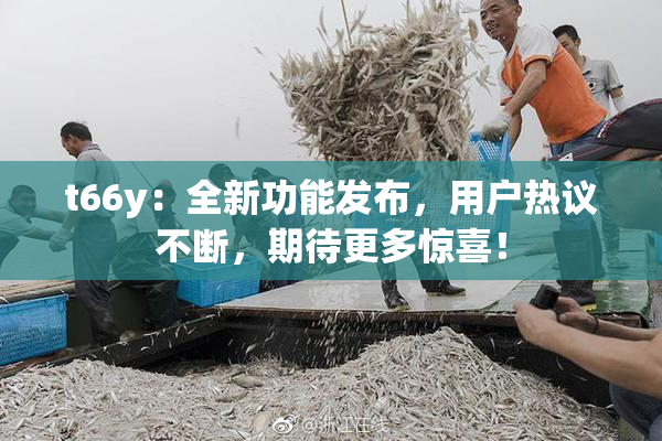 t66y：全新功能发布，用户热议不断，期待更多惊喜！