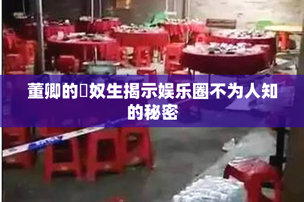 董卿的婬奴生揭示娱乐圈不为人知的秘密