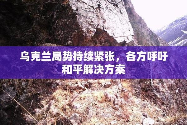 乌克兰局势持续紧张，各方呼吁和平解决方案