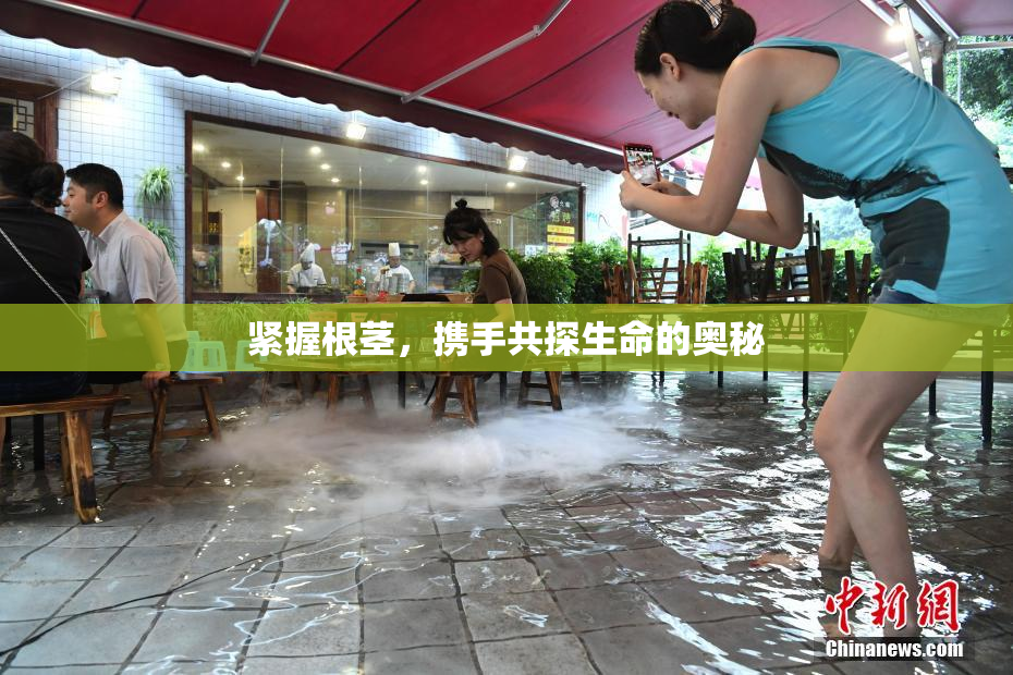 紧握根茎，携手共探生命的奥秘