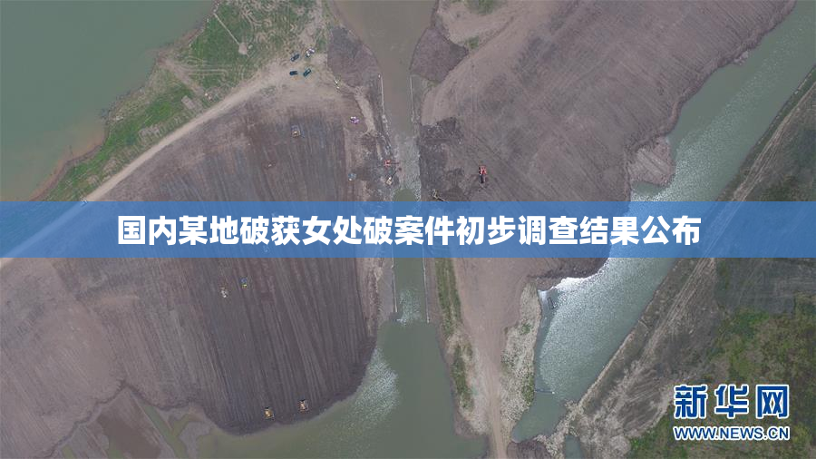 国内某地破获女处破案件初步调查结果公布