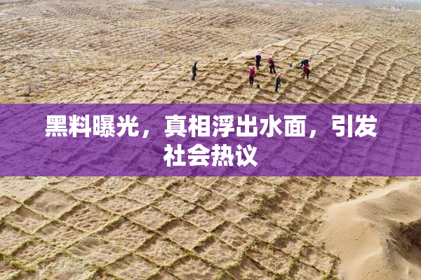 黑料曝光，真相浮出水面，引发社会热议