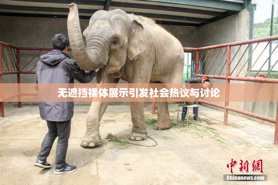 无遮挡裸体展示引发社会热议与讨论