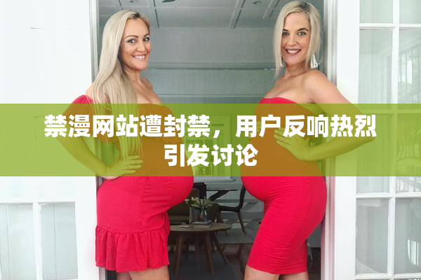 禁漫网站遭封禁，用户反响热烈引发讨论