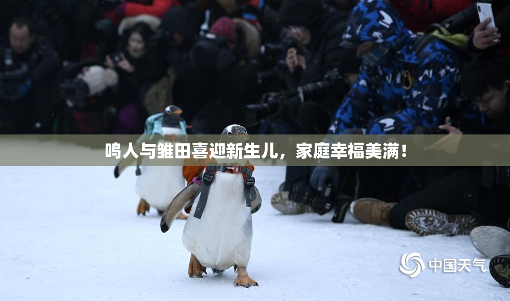 鸣人与雏田喜迎新生儿，家庭幸福美满！