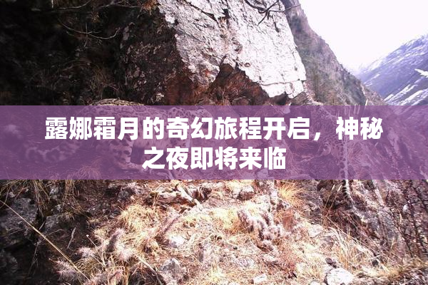 露娜霜月的奇幻旅程开启，神秘之夜即将来临