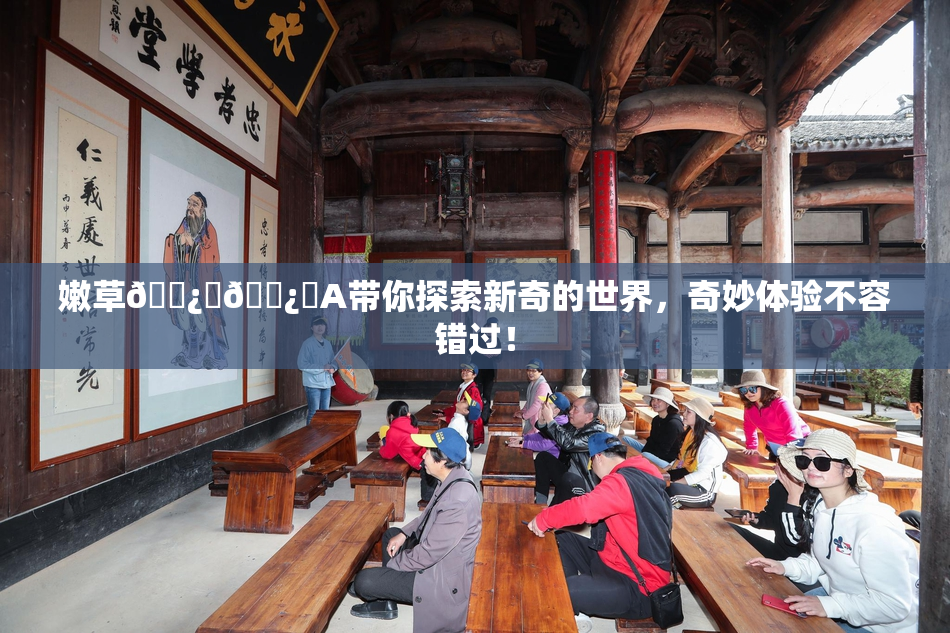嫩草🌿‌🌿‌A带你探索新奇的世界，奇妙体验不容错过！