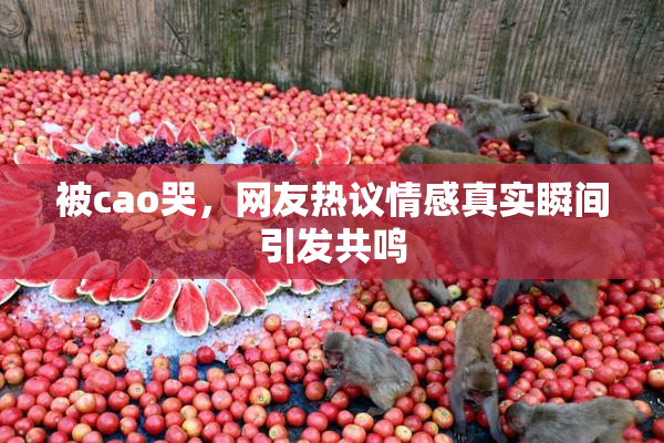 被cao哭，网友热议情感真实瞬间引发共鸣