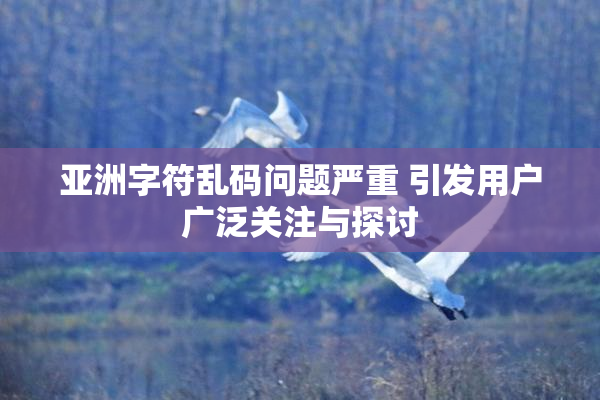 亚洲字符乱码问题严重 引发用户广泛关注与探讨