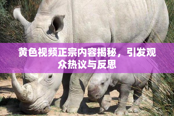 黄色视频正宗内容揭秘，引发观众热议与反思
