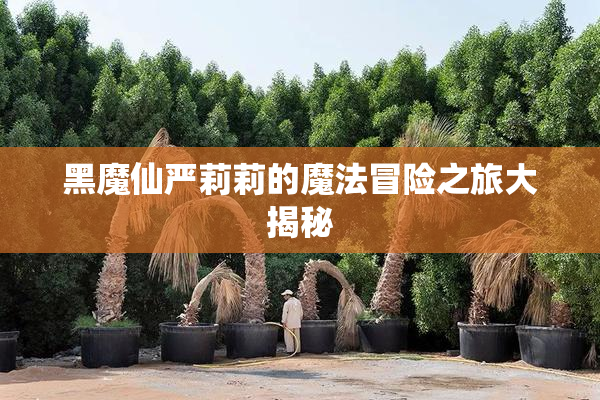 黑魔仙严莉莉的魔法冒险之旅大揭秘