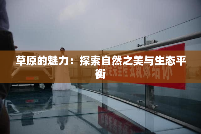 草原的魅力：探索自然之美与生态平衡