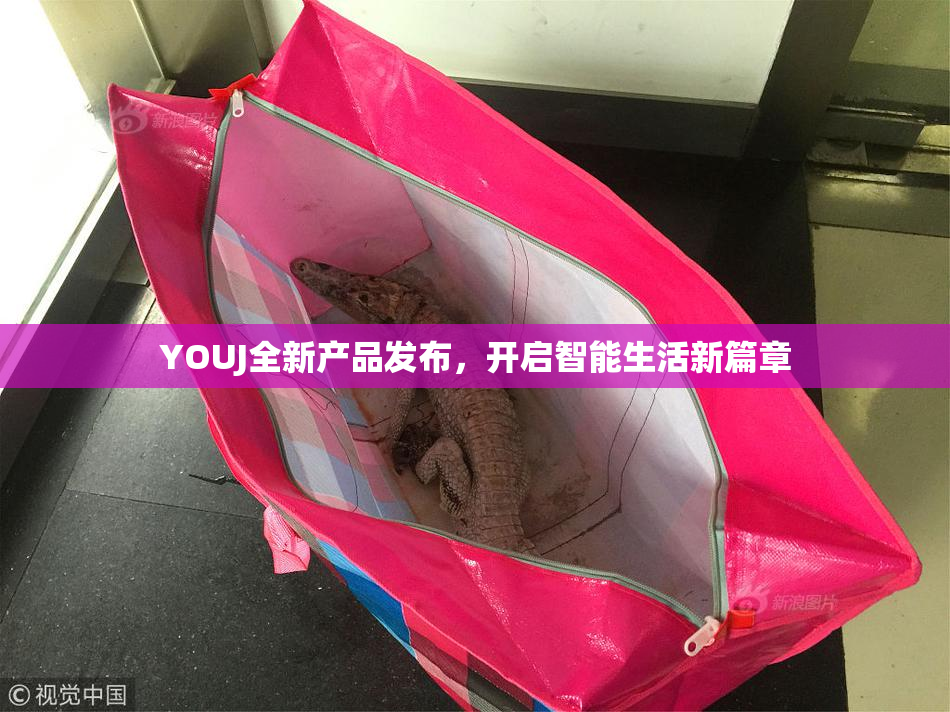YOUJ全新产品发布，开启智能生活新篇章