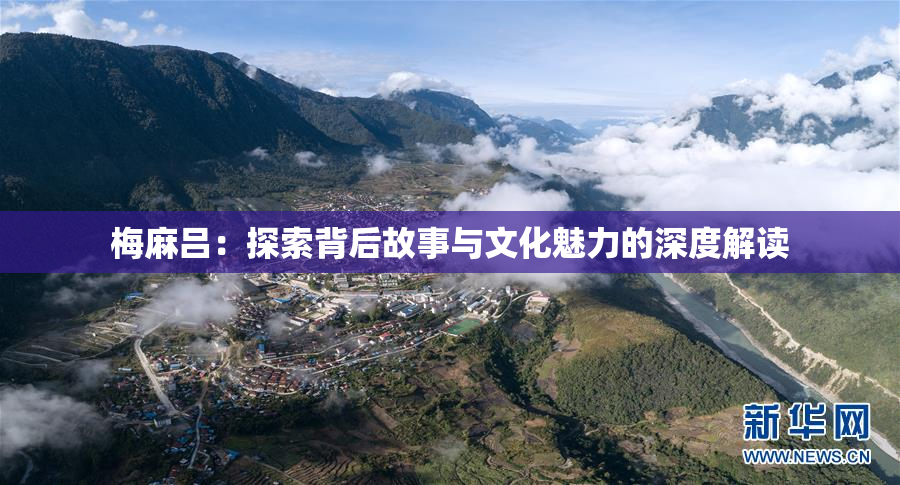 梅麻吕：探索背后故事与文化魅力的深度解读