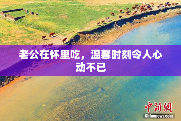 老公在怀里吃，温馨时刻令人心动不已