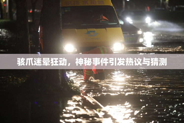 骇爪迷晕狂动，神秘事件引发热议与猜测