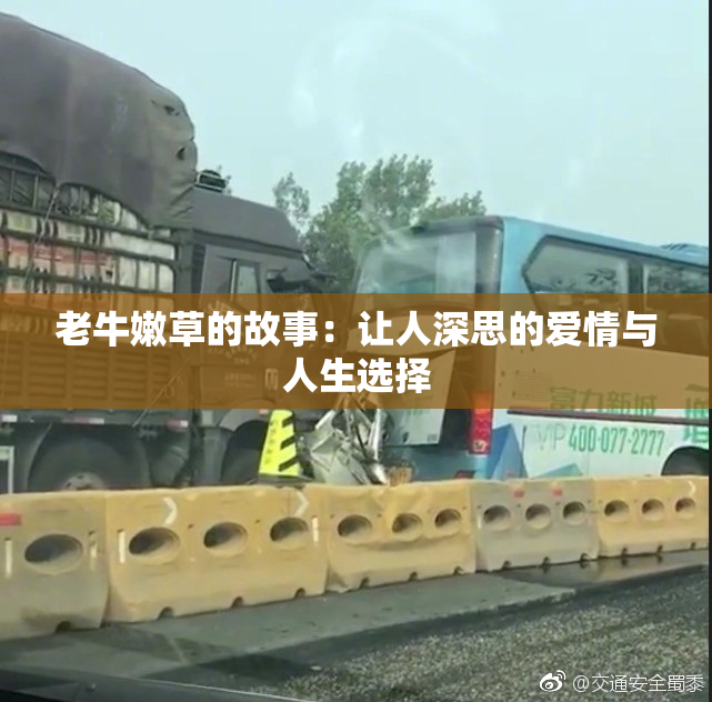 老牛嫩草的故事：让人深思的爱情与人生选择