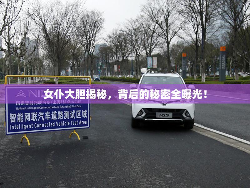 女仆大胆揭秘，背后的秘密全曝光！