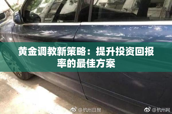 黄金调教新策略：提升投资回报率的最佳方案