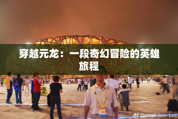 穿越元龙：一段奇幻冒险的英雄旅程