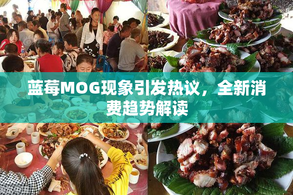 蓝莓MOG现象引发热议，全新消费趋势解读