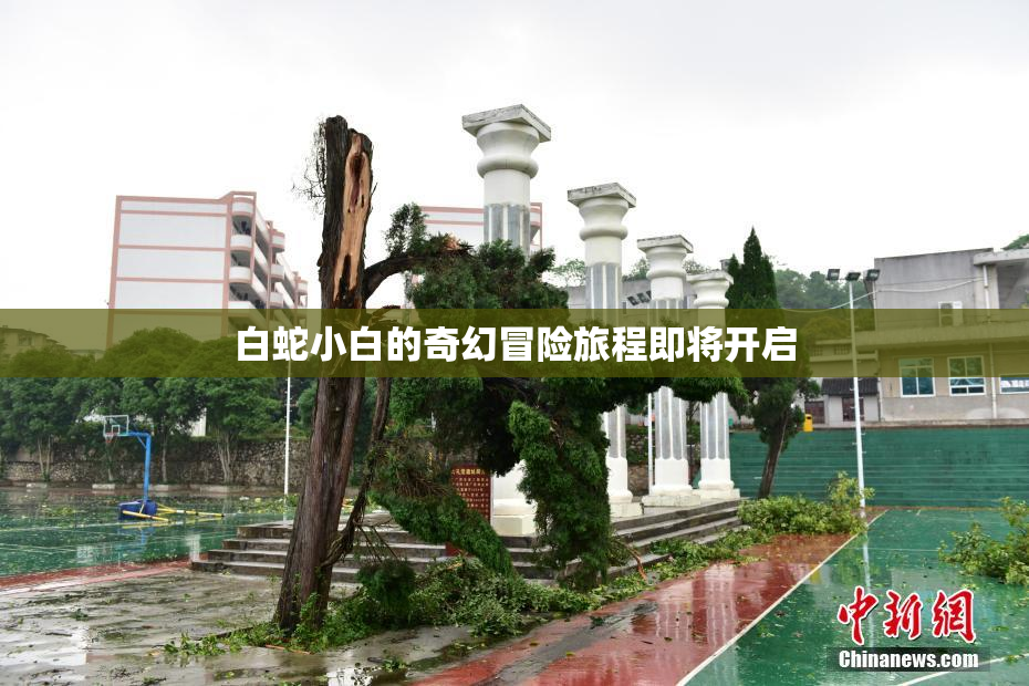 白蛇小白的奇幻冒险旅程即将开启