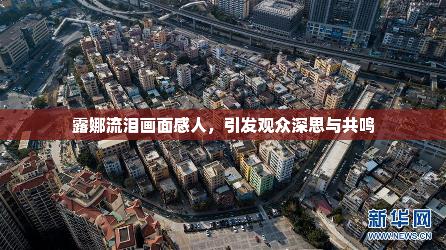 露娜流泪画面感人，引发观众深思与共鸣