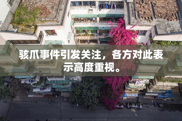 骇爪事件引发关注，各方对此表示高度重视。