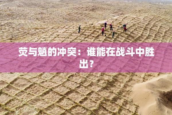 荧与魈的冲突：谁能在战斗中胜出？