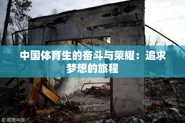 中国体育生的奋斗与荣耀：追求梦想的旅程