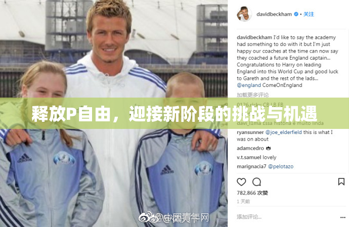 释放P自由，迎接新阶段的挑战与机遇