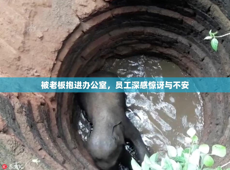 被老板抱进办公室，员工深感惊讶与不安