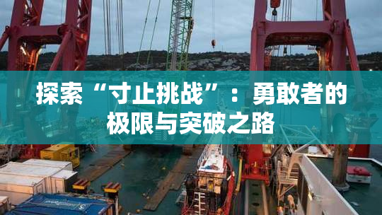 探索“寸止挑战”：勇敢者的极限与突破之路