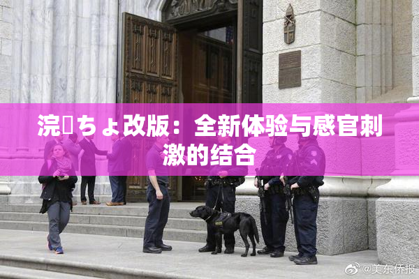 浣腸ちょ改版：全新体验与感官刺激的结合