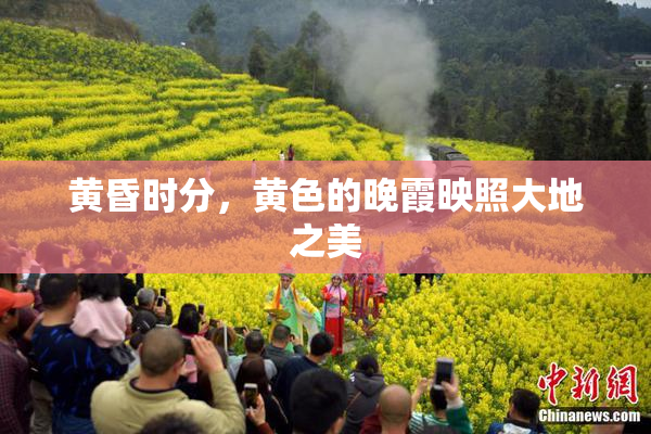 黄昏时分，黄色的晚霞映照大地之美