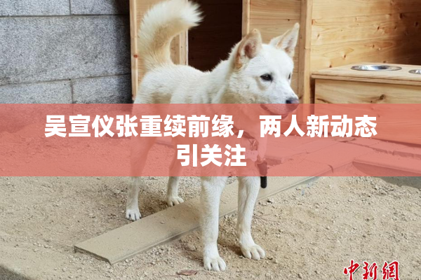 吴宣仪张重续前缘，两人新动态引关注