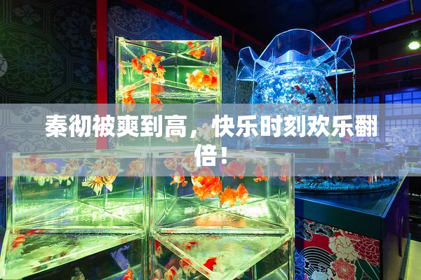 秦彻被爽到高，快乐时刻欢乐翻倍！
