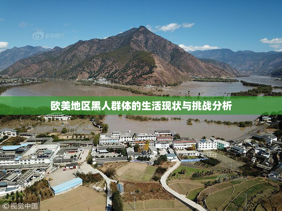 欧美地区黑人群体的生活现状与挑战分析