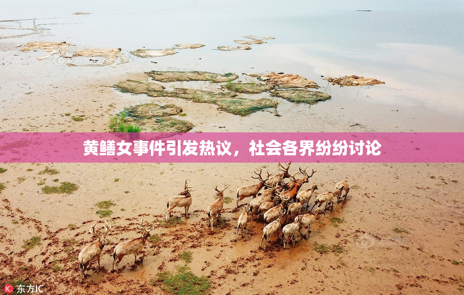 黄鳝女事件引发热议，社会各界纷纷讨论